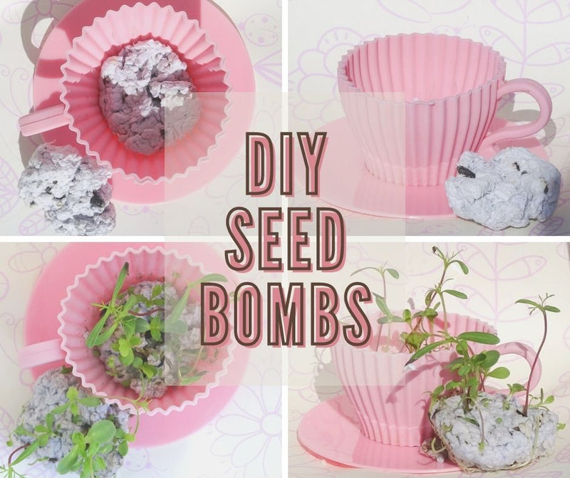 DYI Seed Bombs